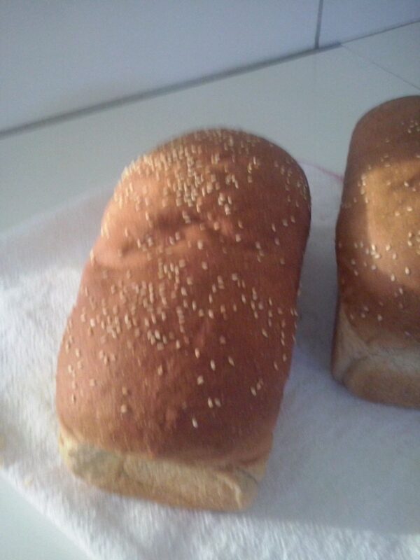 IMG-20151104-WA0006 - Júlia Santos Meneses Pão integral de fermentação mista e lenta.