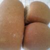 IMG-20151210-WA0000 - Júlia Santos Meneses Pão integral de fermentação mista e lenta.