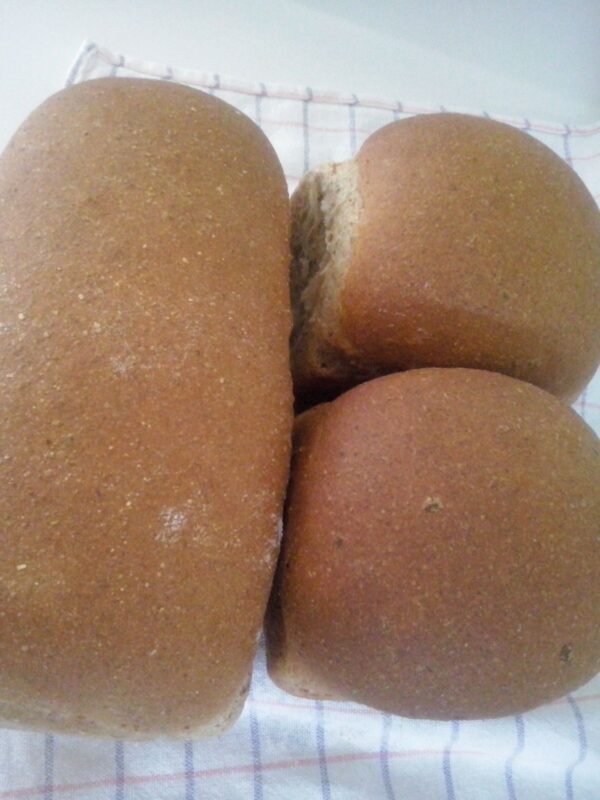 IMG-20151210-WA0000 - Júlia Santos Meneses Pão integral de fermentação mista e lenta.
